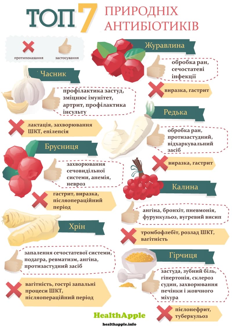 Інфографіка Топ-7 природних антибіотиків