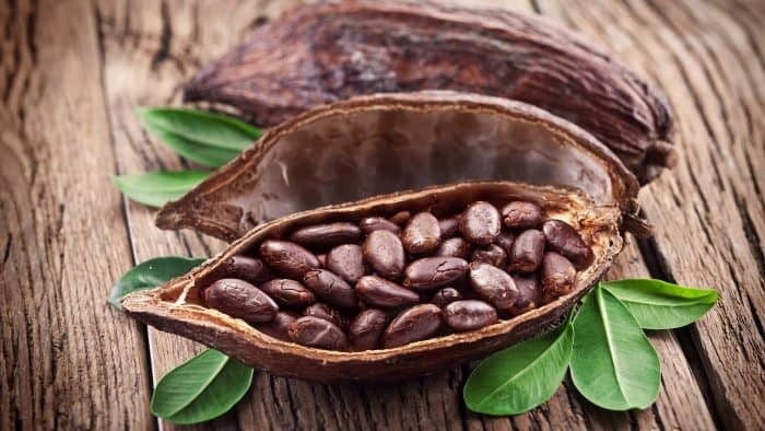 9 наукових фактів про користь і шкоду какао