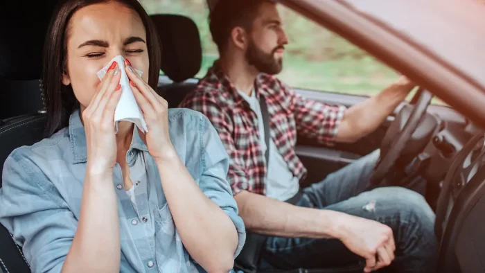 Що повинні знати автомобілісти про алергію?