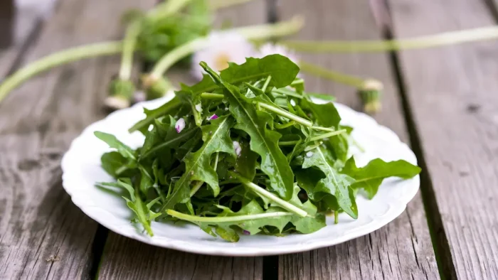 Салат з кульбаби: простий рецепт, користь і як прибрати гіркоту